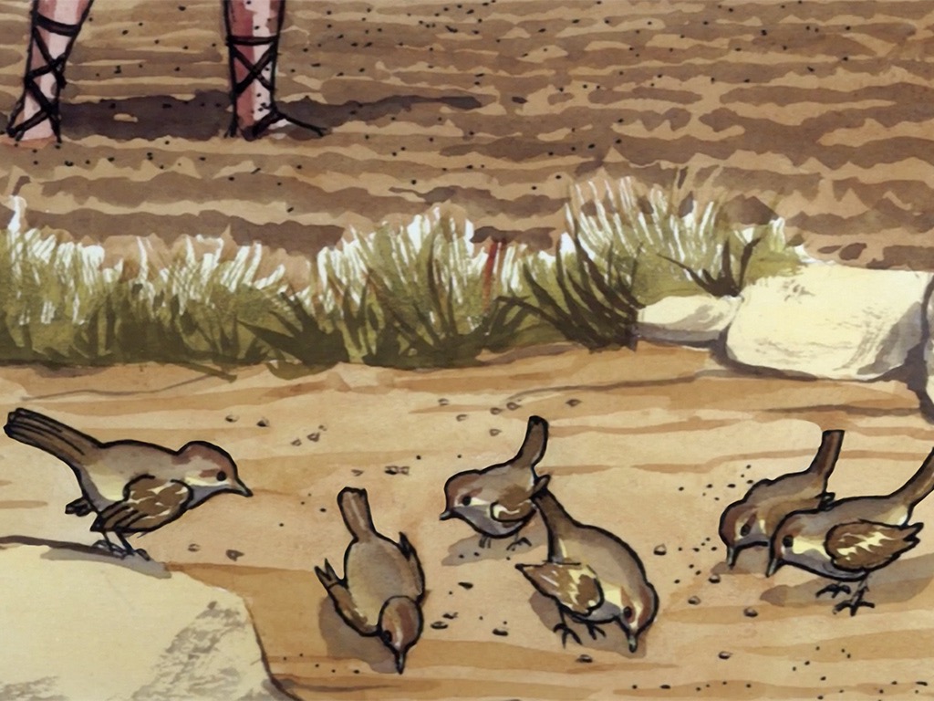 05_GNPI_049_Parable_Sower_1024